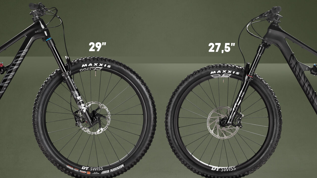 Trail MTB