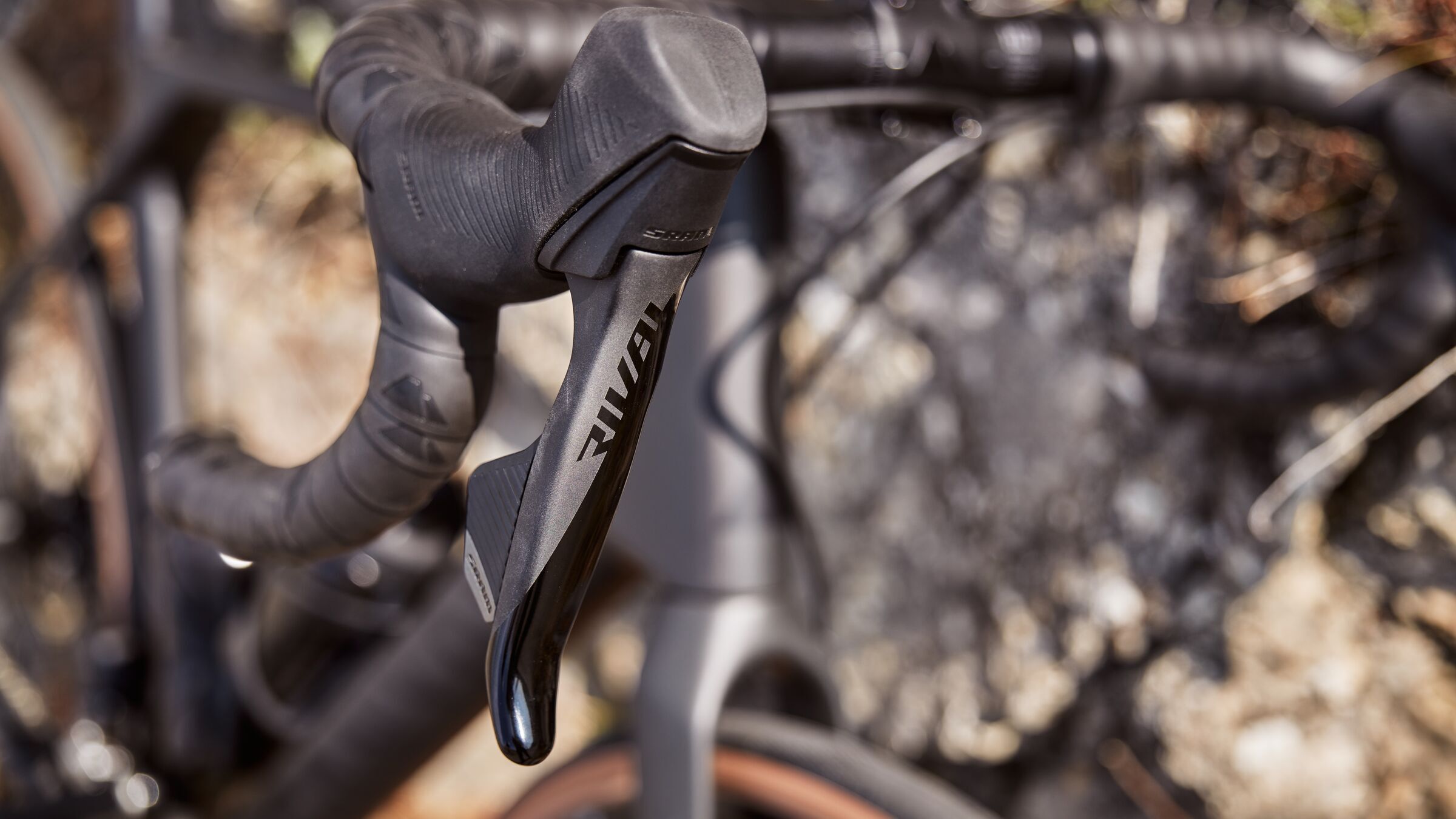 Canyon endurace outlet 2021 release date