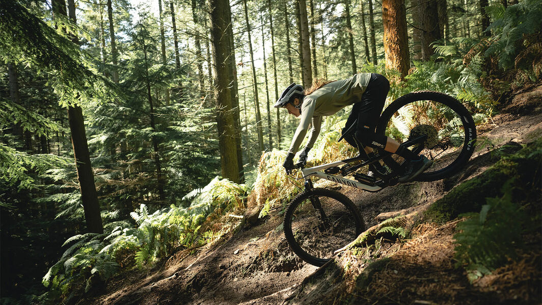 Die besten MTB Touren im Pfälzerwald