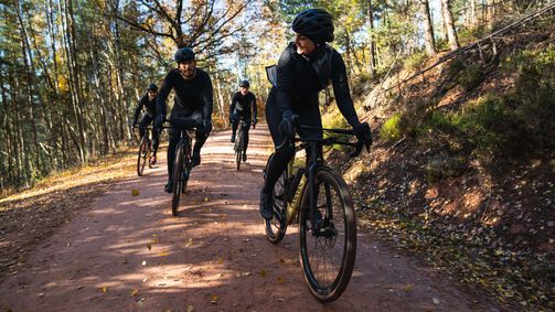 Die 4 schönsten Gravel Touren durch die Pfalz 
