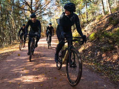 Die 4 schönsten Gravel Touren durch die Pfalz 