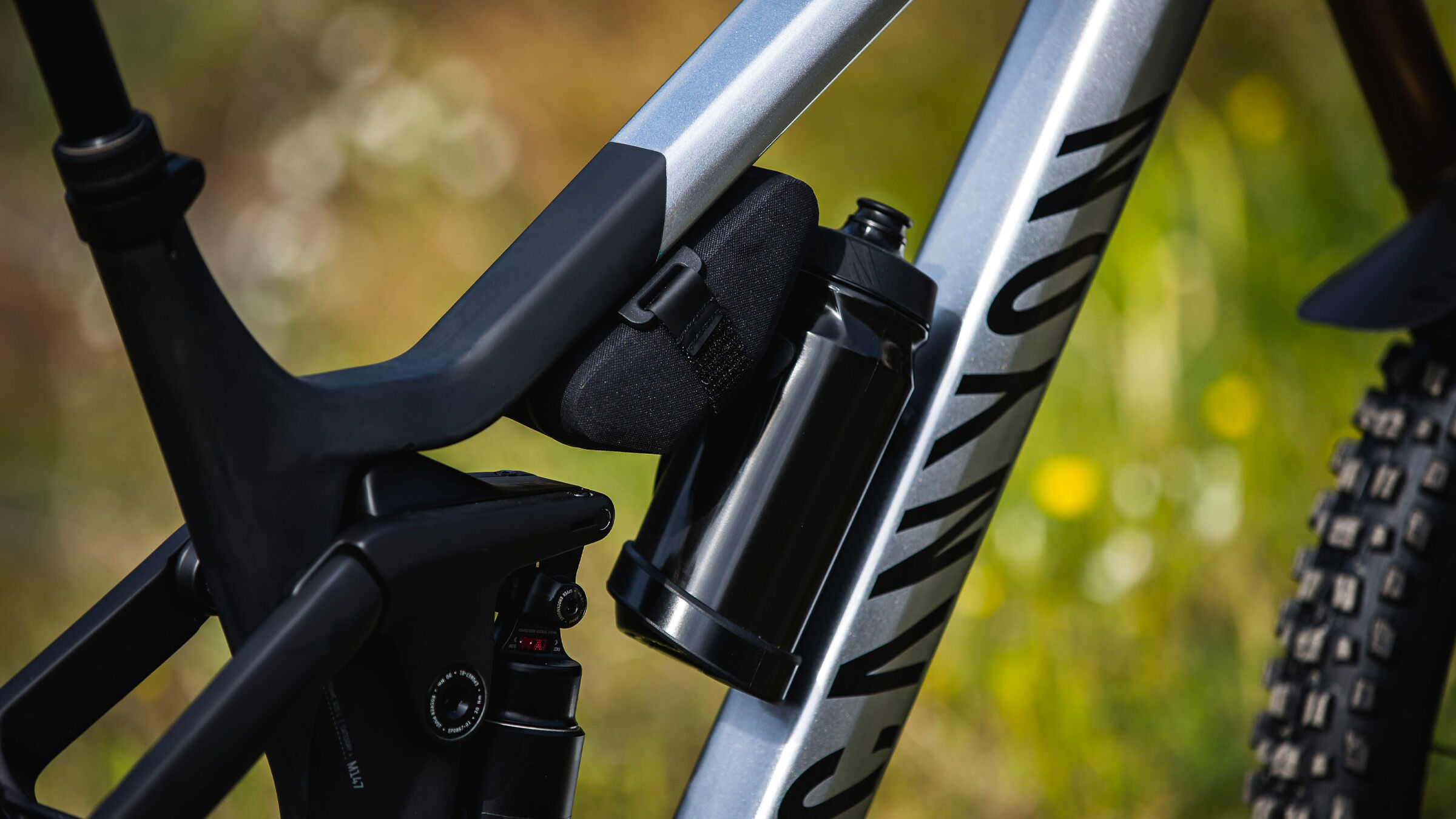 Strive CFR | CANYON AU