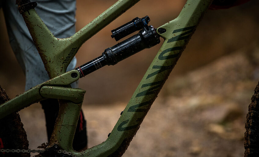 Canyon Torque 29"