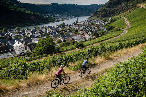 Riding the Moselle Cycle Path