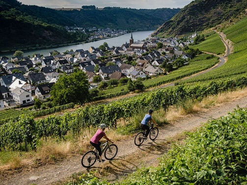 Moselradweg – entspannt Radfahren entlang der Mosel 