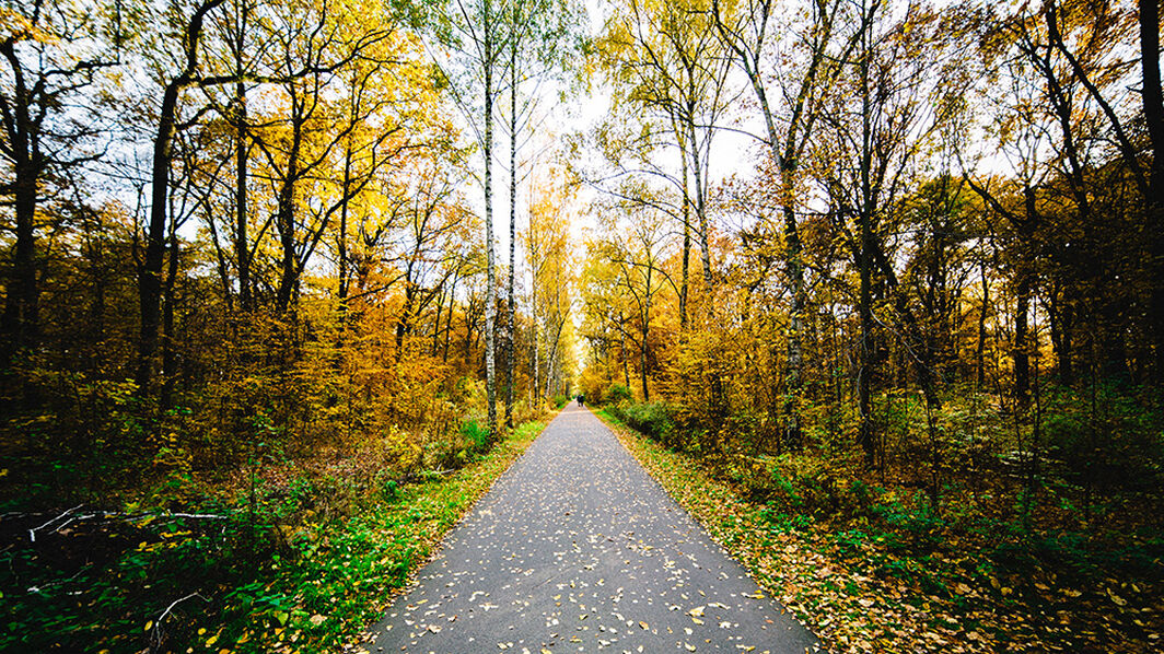 Gravel Tour zum Wannsee und Grunewaldturm