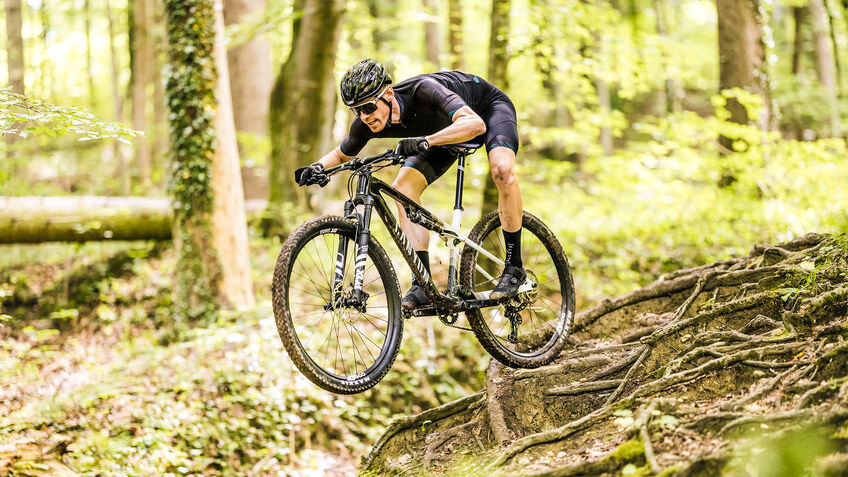 Die schönsten MTB-Strecken im Harz