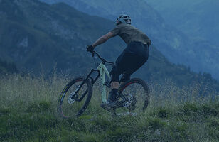 Canyon Spectral 29"