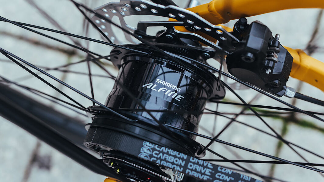Check the function of your brakes before every ride