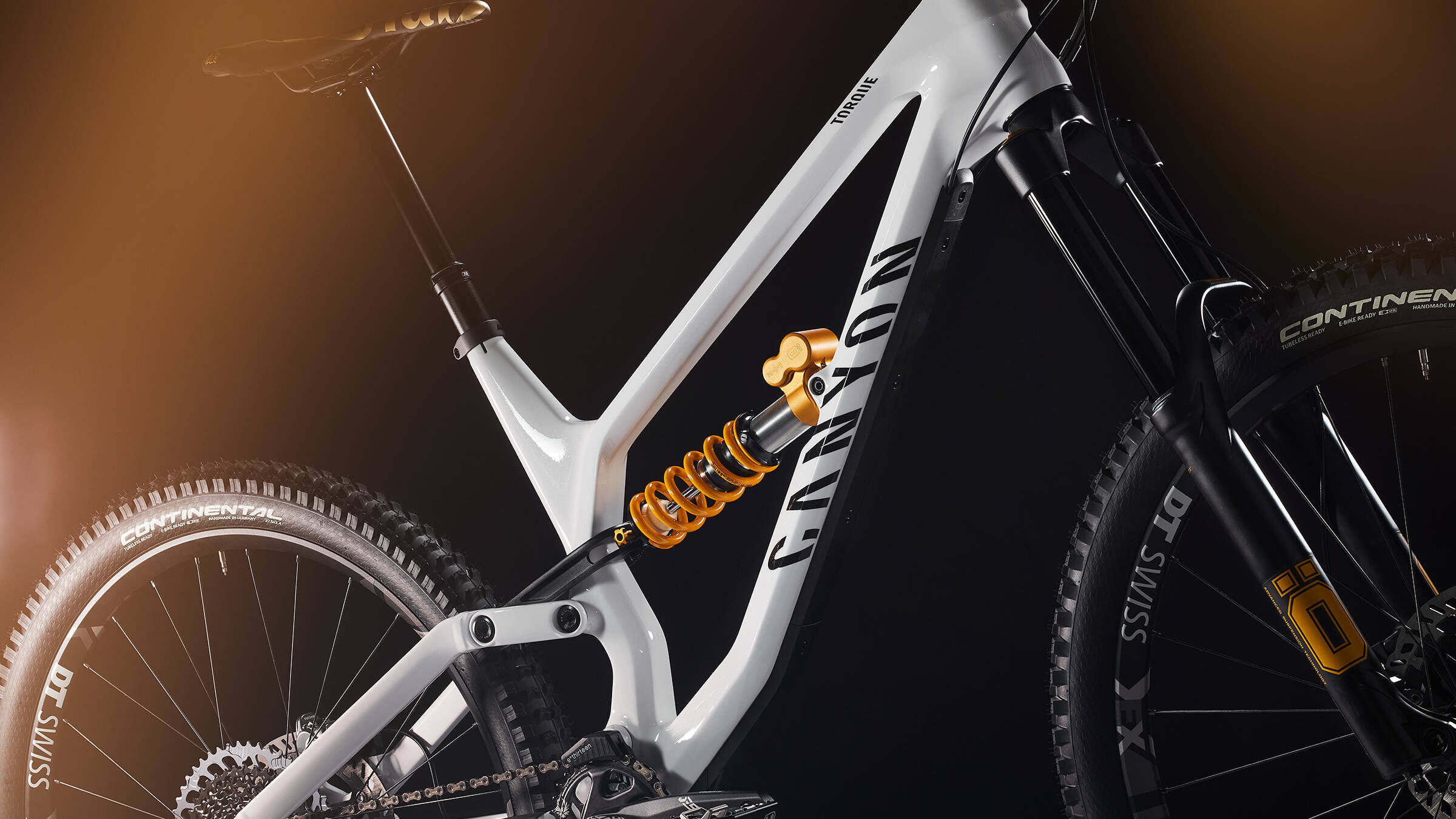 Fabio Wibmer Torque CF | CANYON LU