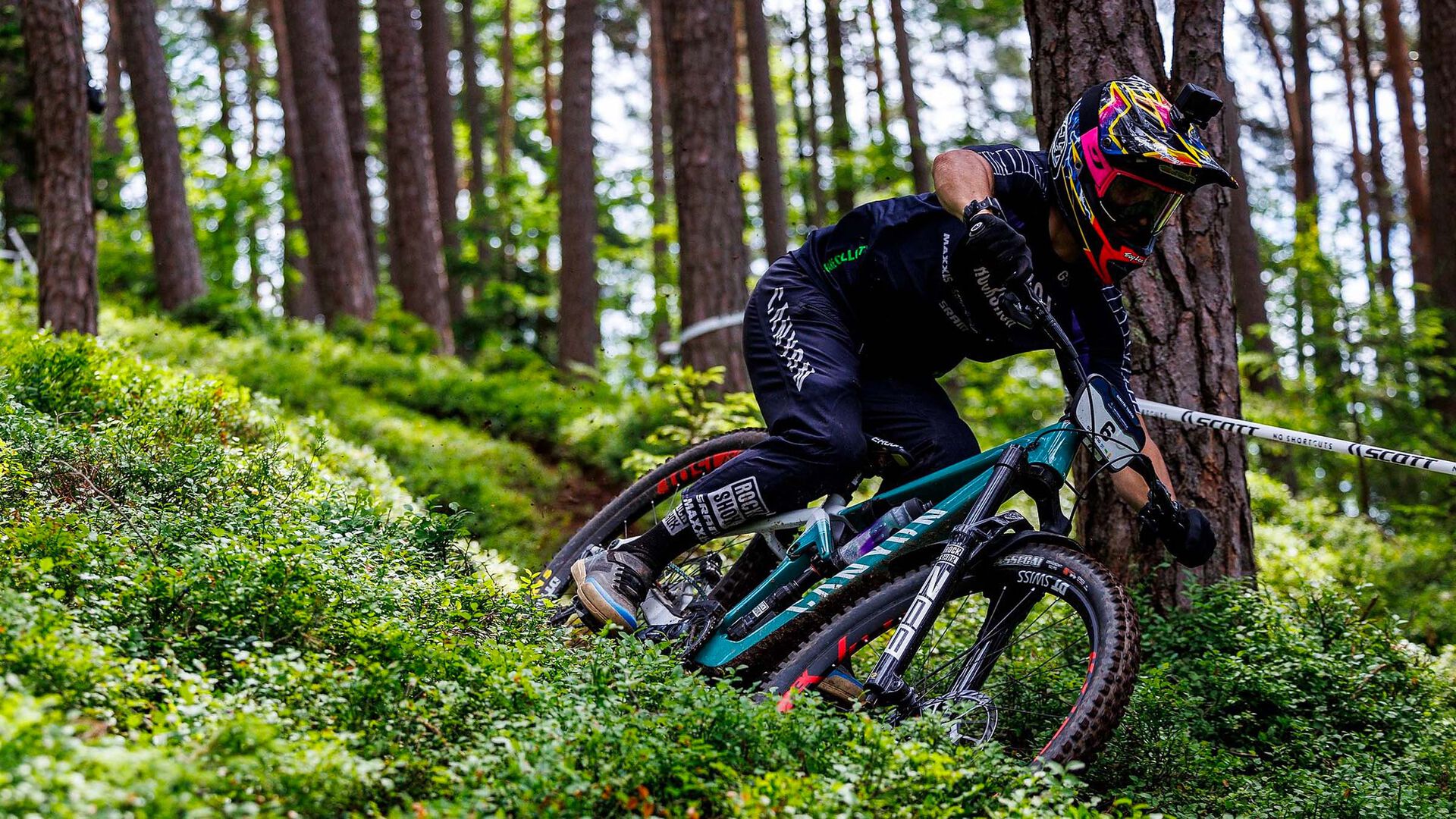 Canyon Strive CFR TLD