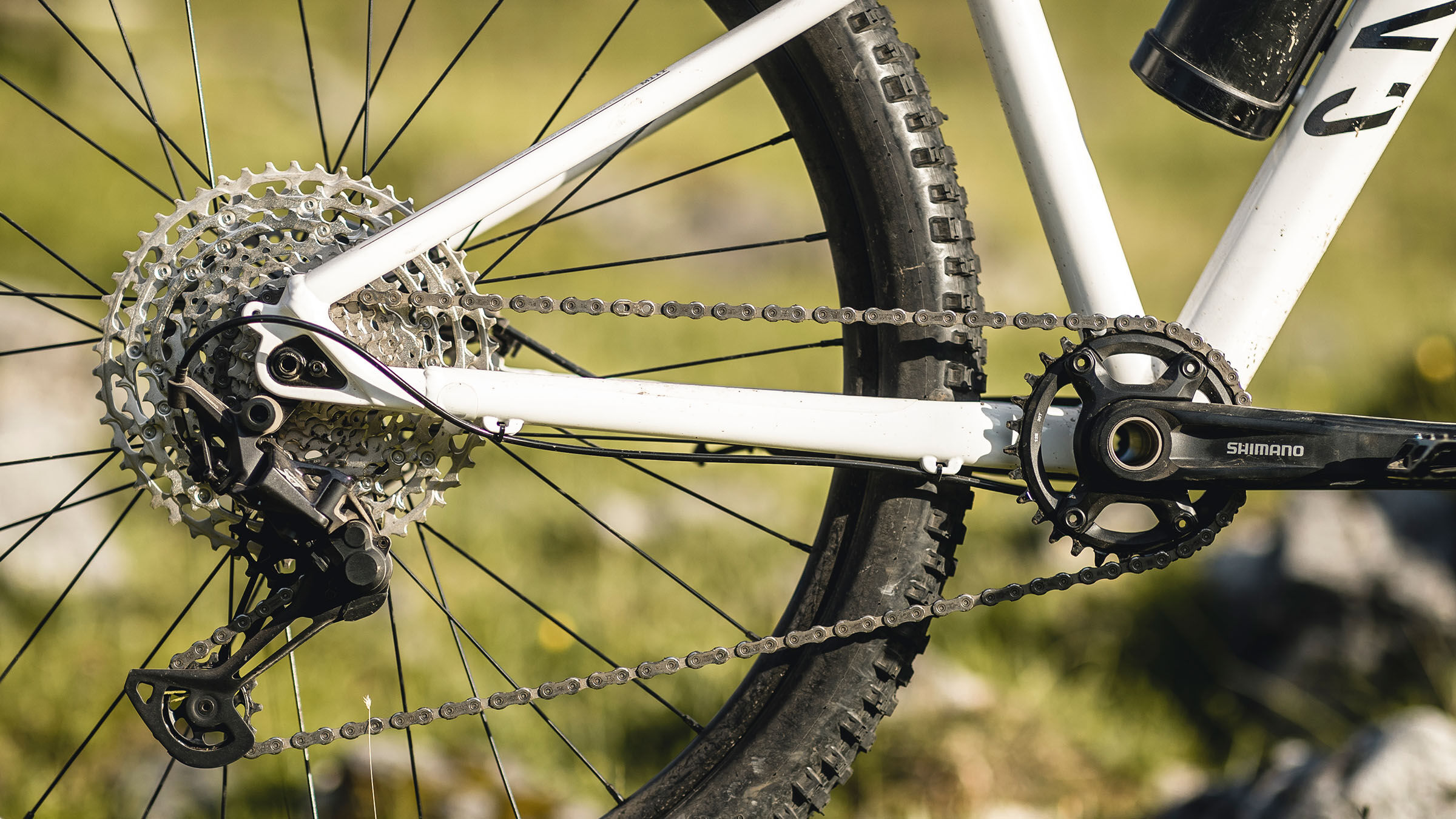 MTB Canyon Torque