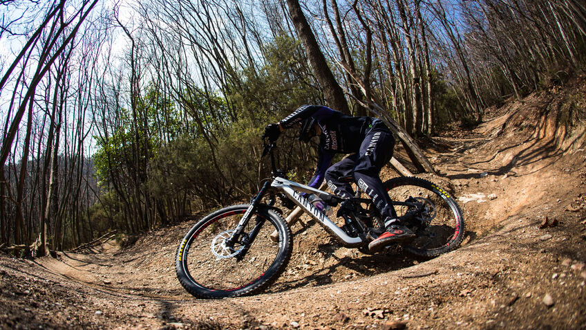 Canyon Strive CFR