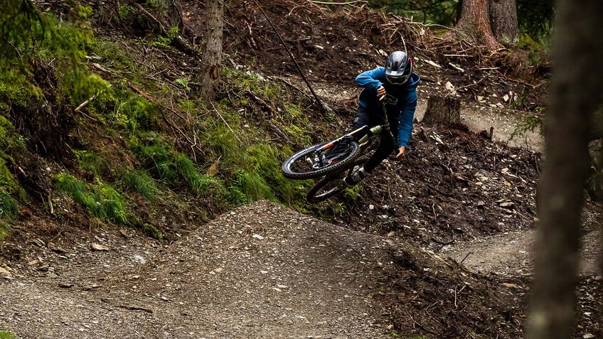 Canyon Torque Mullet