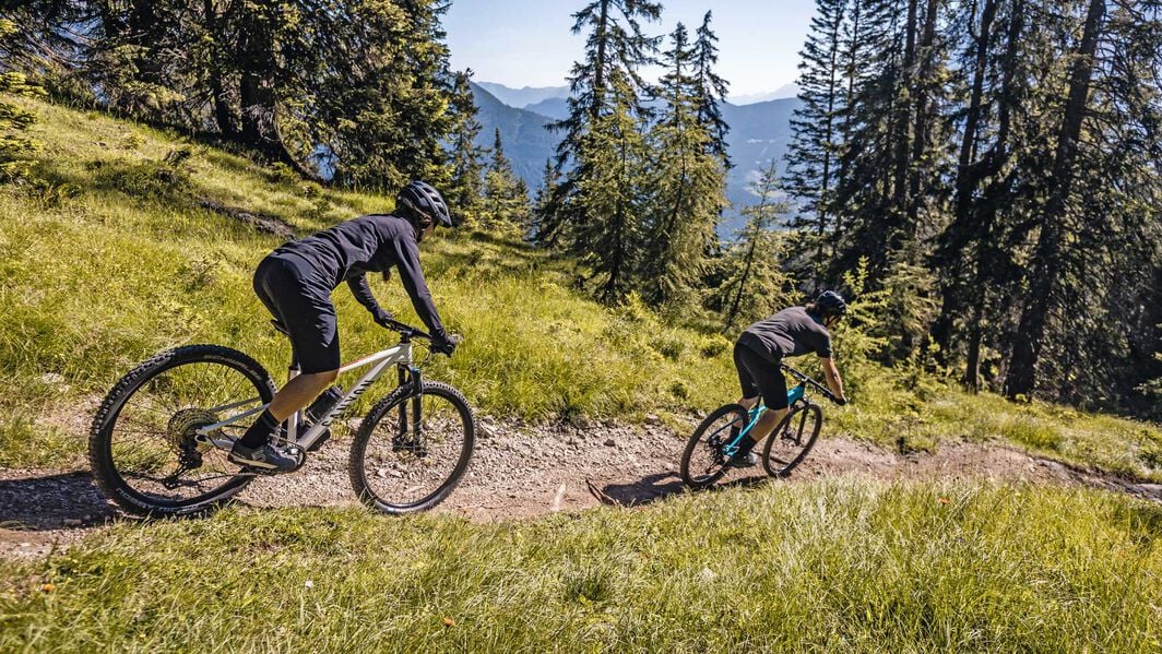 Mountain Bike vs. Hybrid Bike