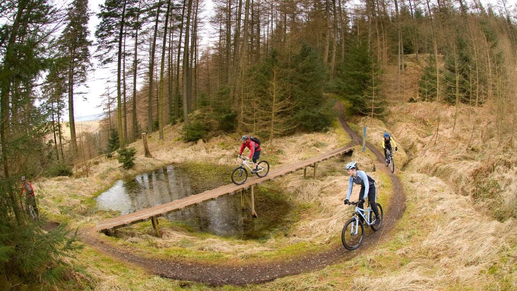 Guide to 7Stanes trail centres in Scotland