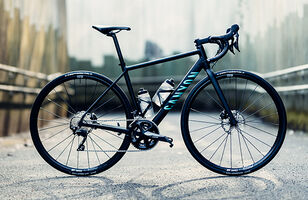 Canyon Endurace AL