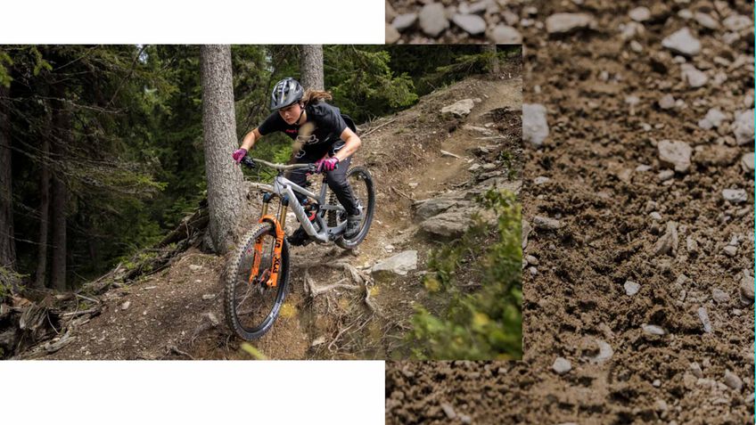 Canyon Spectral CF 8 CLLCTV (Mullet)