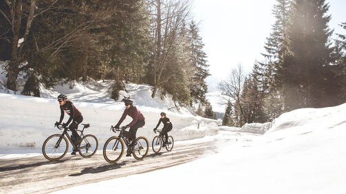 Calling all roadies: add gravel to your winter routine with these bikes.