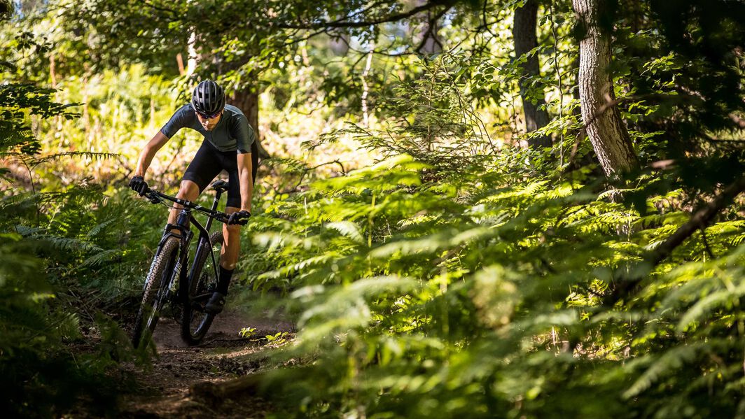 Official MTB trails in Germany