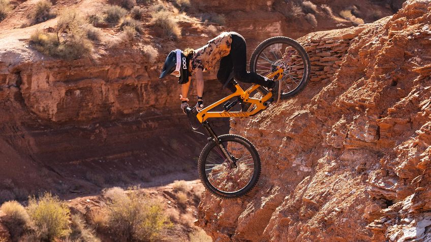 Canyon Torque 27.5"