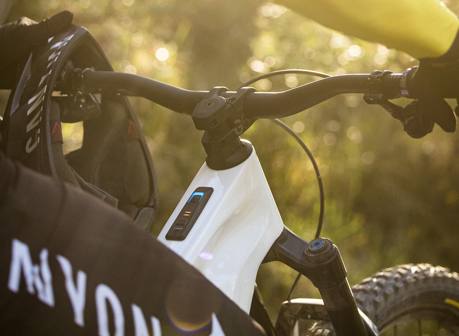 Canyon strive for shop sale