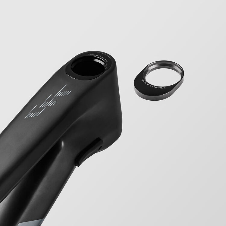 Sender CFR Mullet Sender CFR Mullet