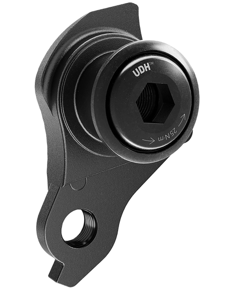 Sram nx derailleur hanger sales