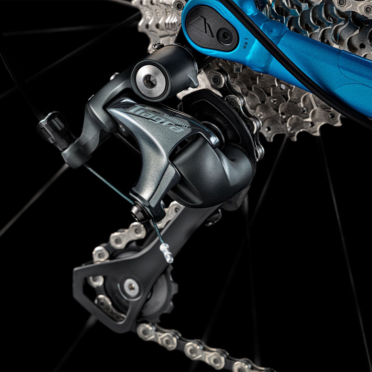 canyon endurace 6.0