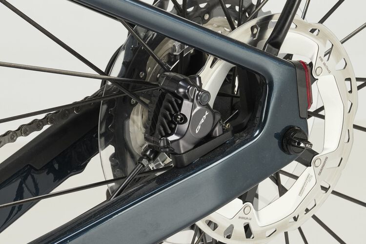 Grizl:ONfly CF Daily Grizl:ONfly CF Daily