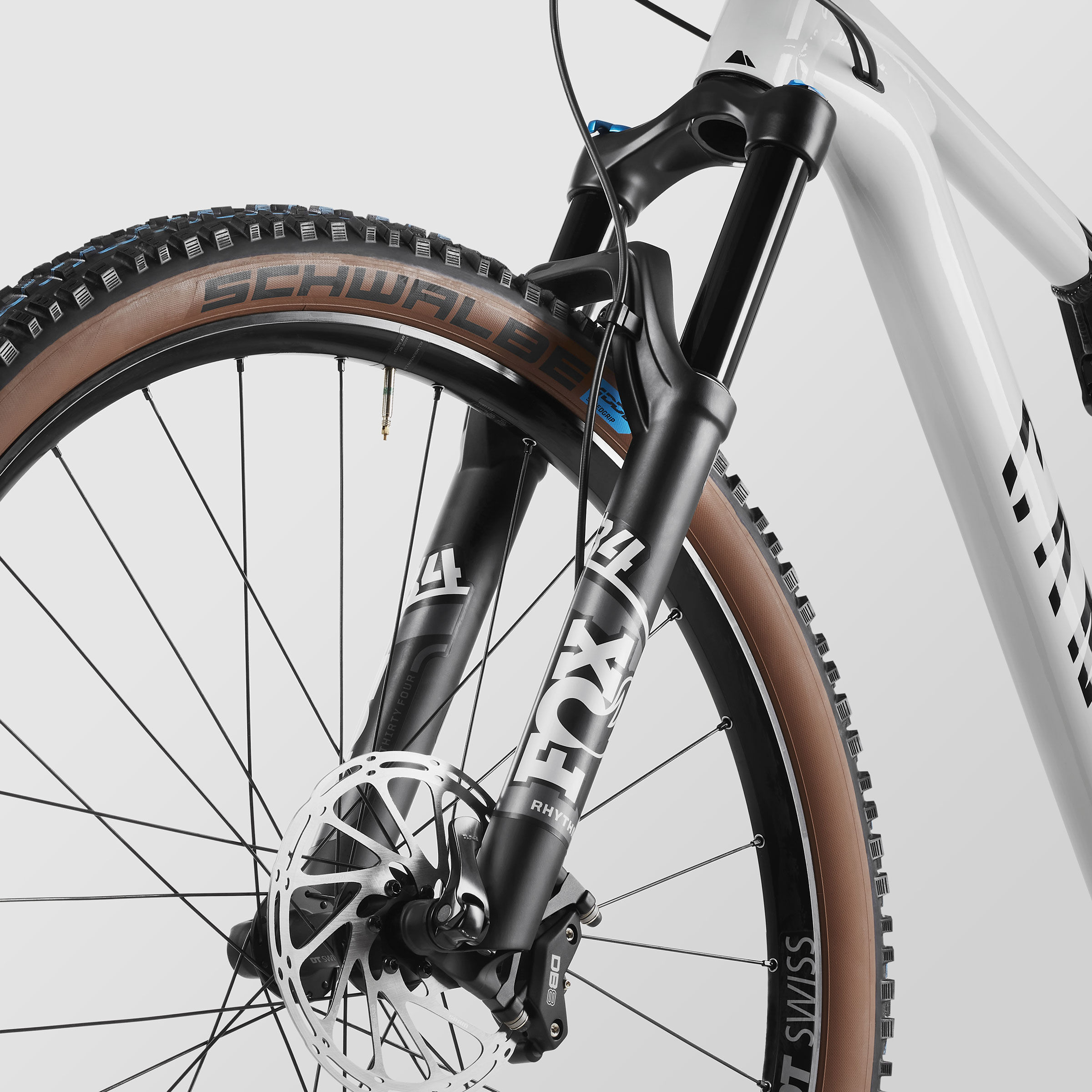 Neuron 6 | CANYON US