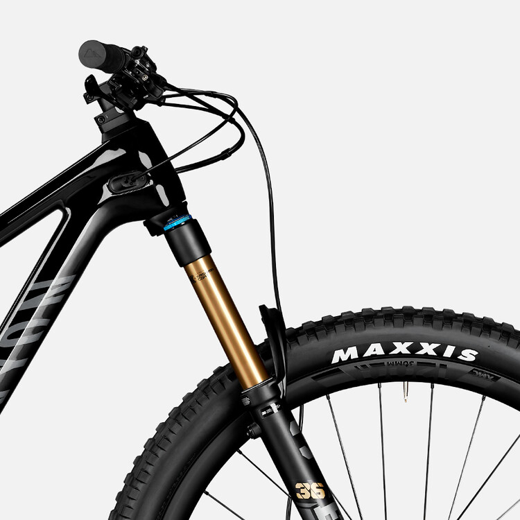 Spectral 29 LTD Spectral 29 LTD