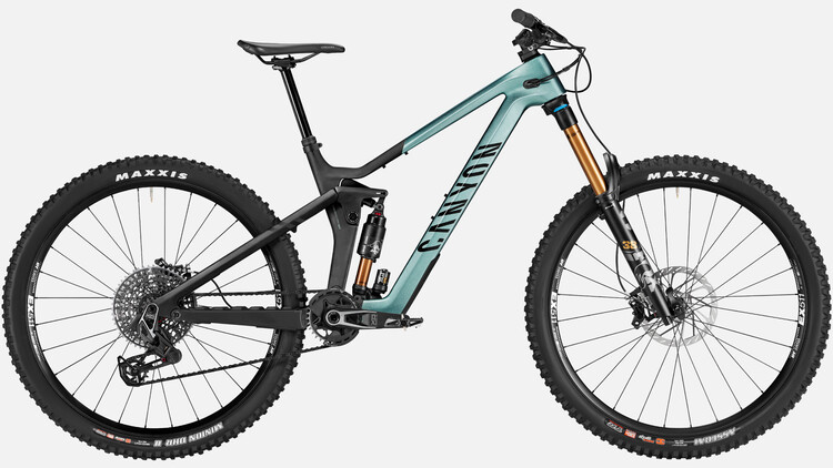 Bike Canyon Strive 2021 Price Canyon Strive Mountain Bikes Canyon