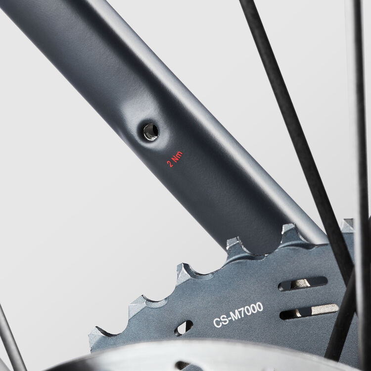 Grizl  CF SL 8 1by Grizl  CF SL 8 1by