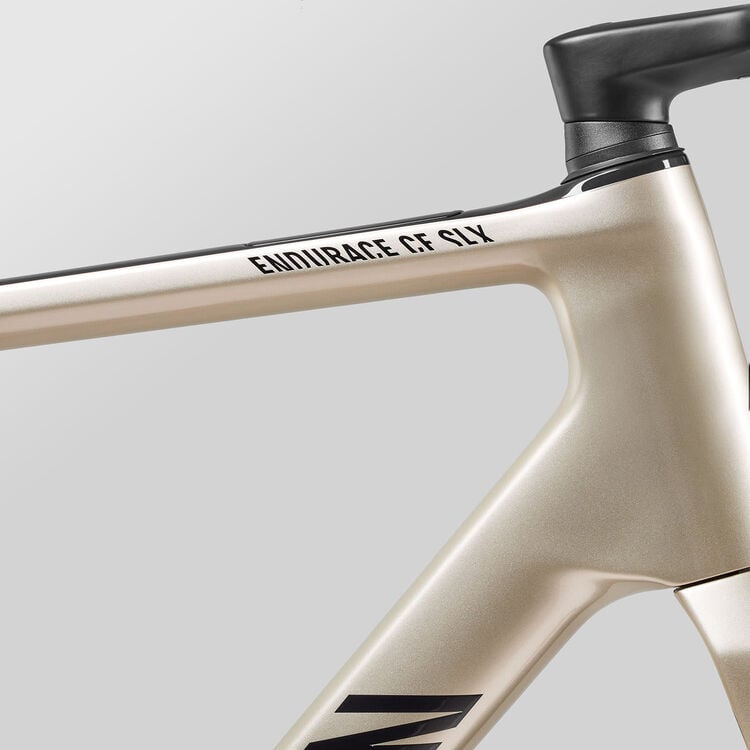 Endurace CF SLX 8 AXS Aero Endurace CF SLX 8 AXS Aero