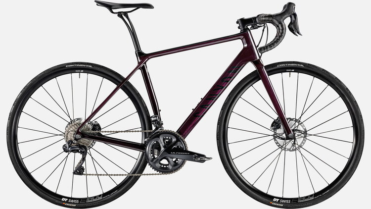 Endurace WMN CF SL 8.0 Di2