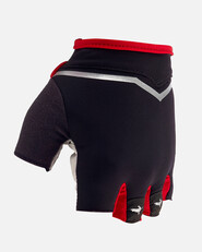 Sealskinz Ventoux Classic Gloves