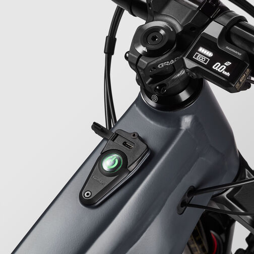 Torque:ON 7 Torque:ON 7