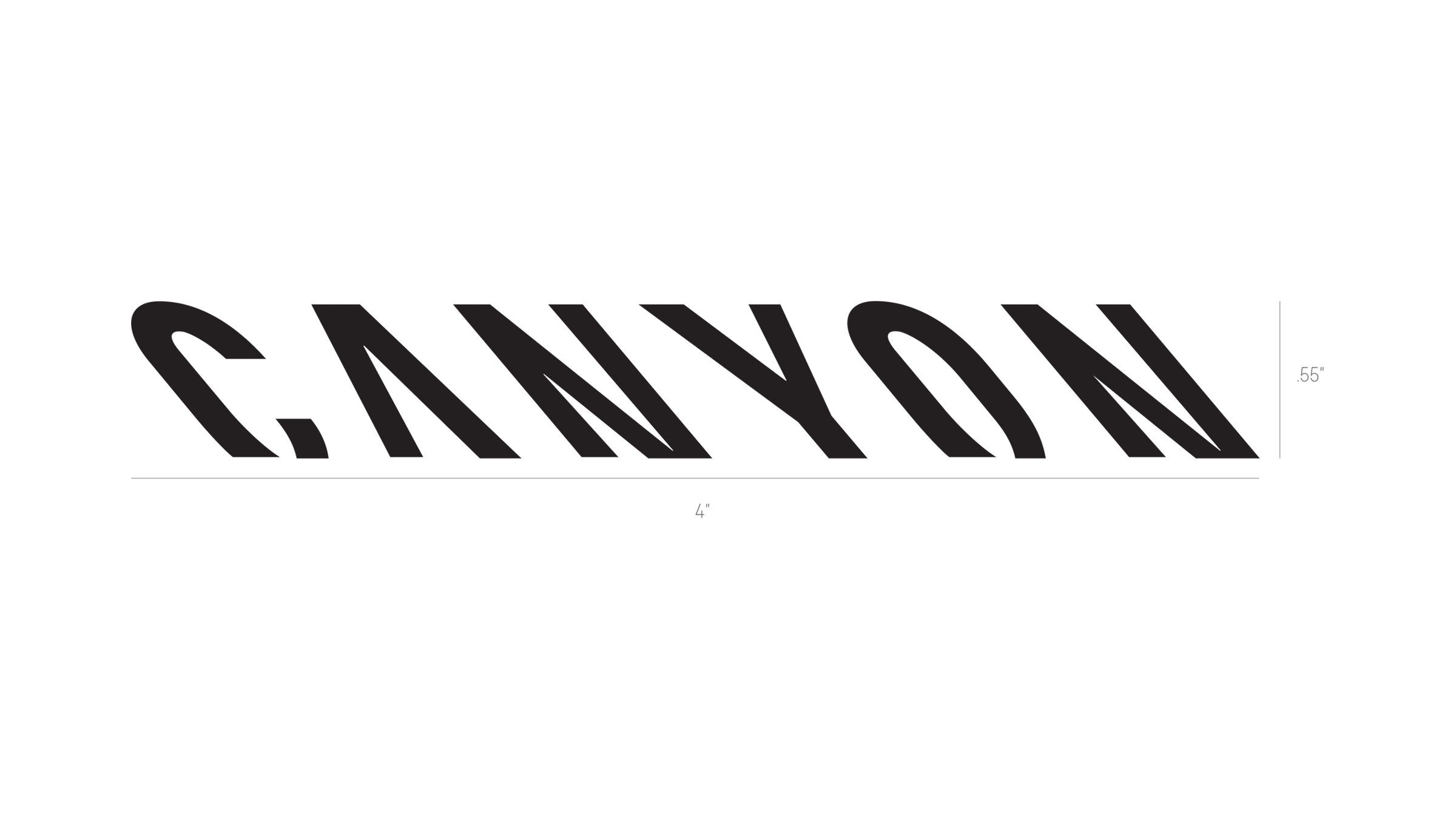 Canyon bike outlet decals