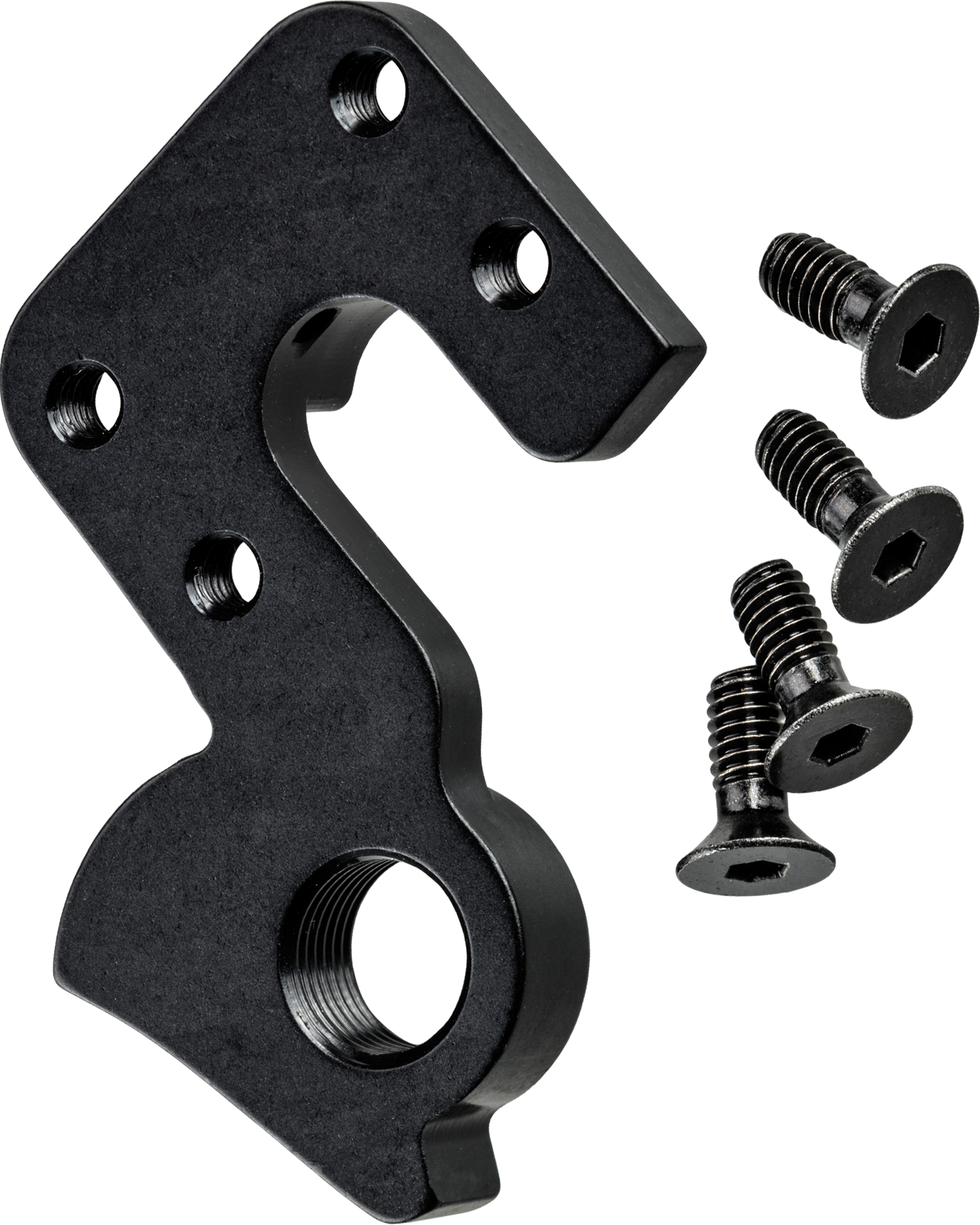 Canyon shop derailleur hanger