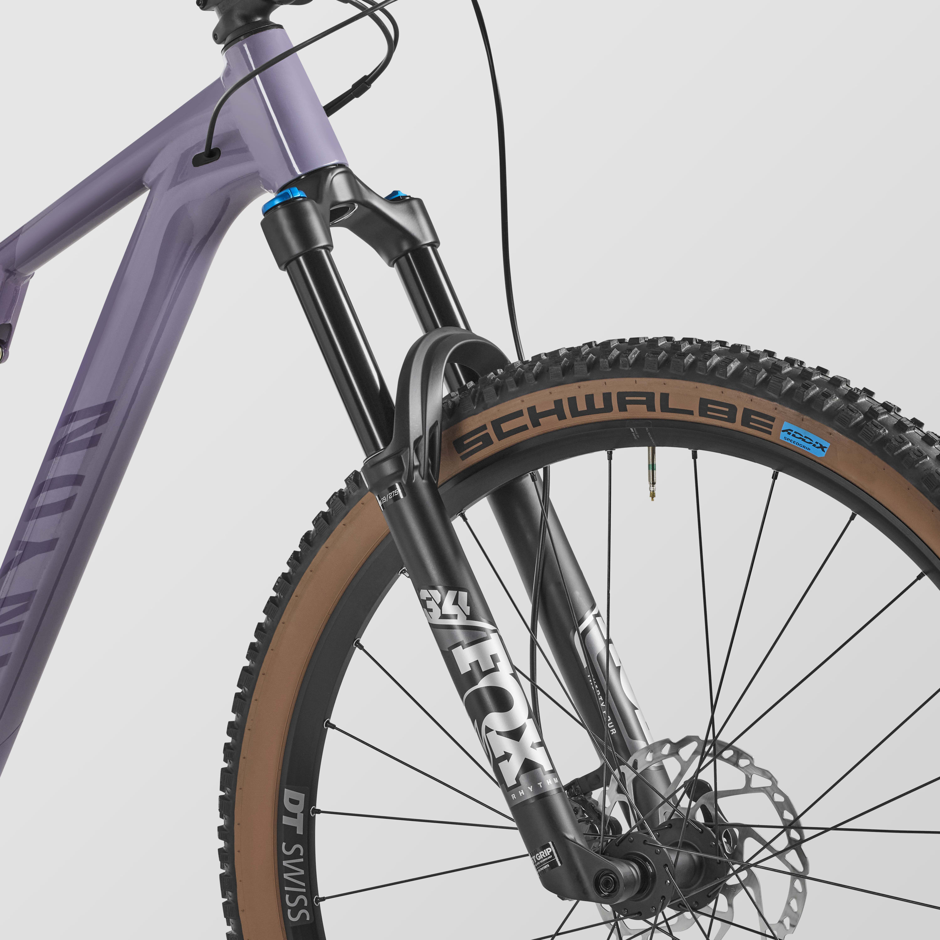 Neuron 6 | CANYON US