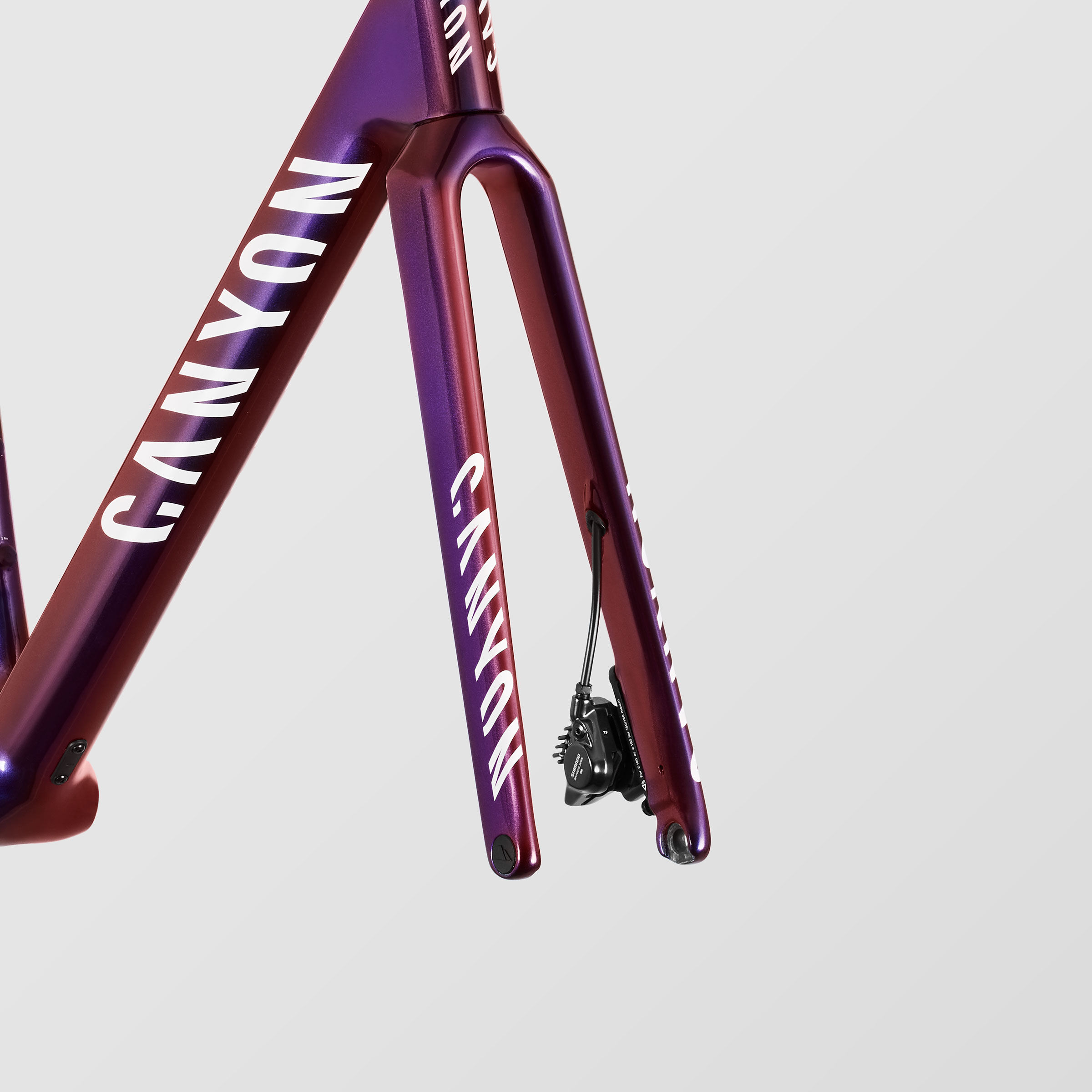 Ultimate CFR Disc Frame and Brake Kit CANYON AE