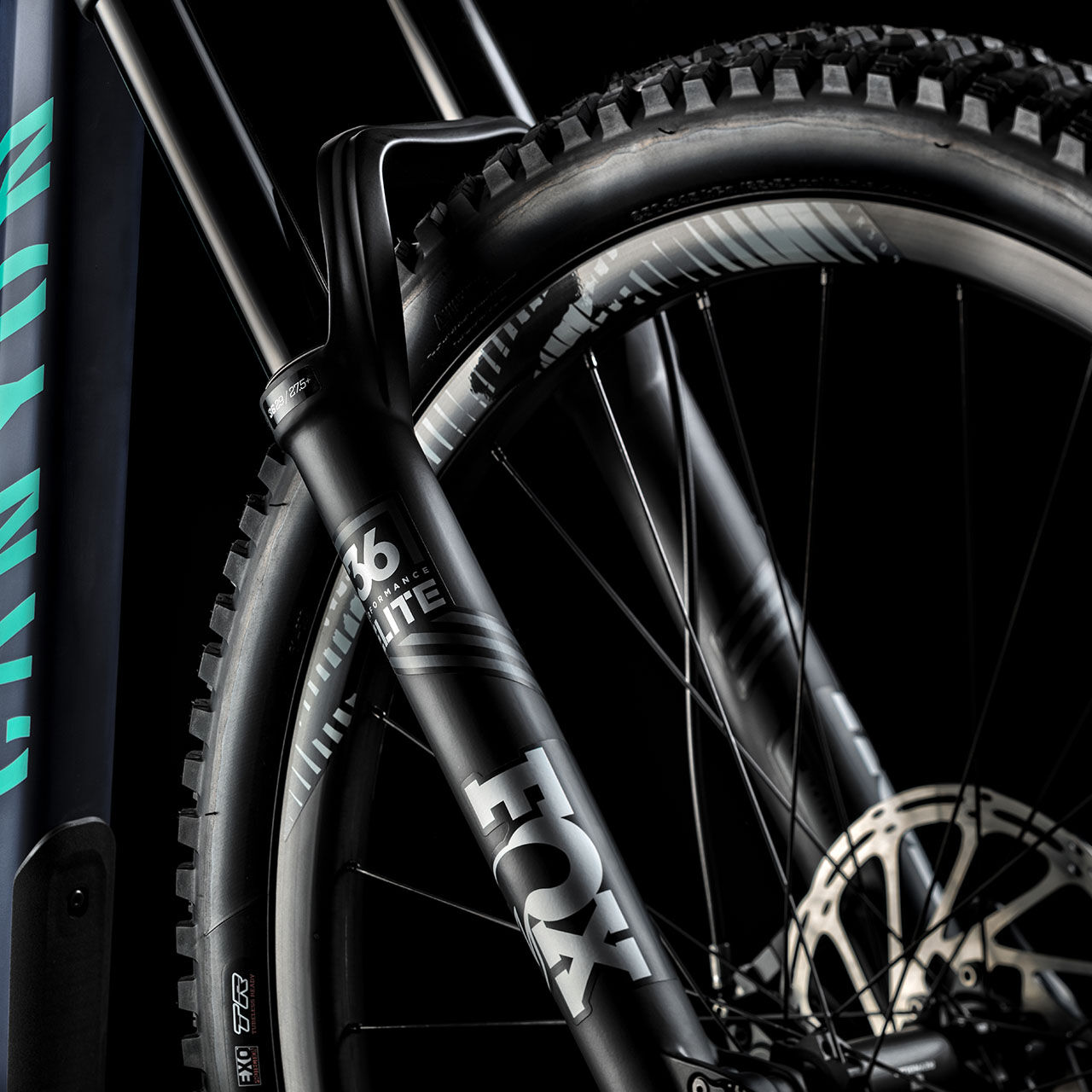 Strive Cf 8 0 Canyon Us