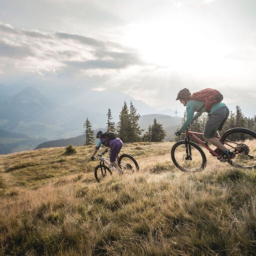 Mountain bikes up to 2000 CHF