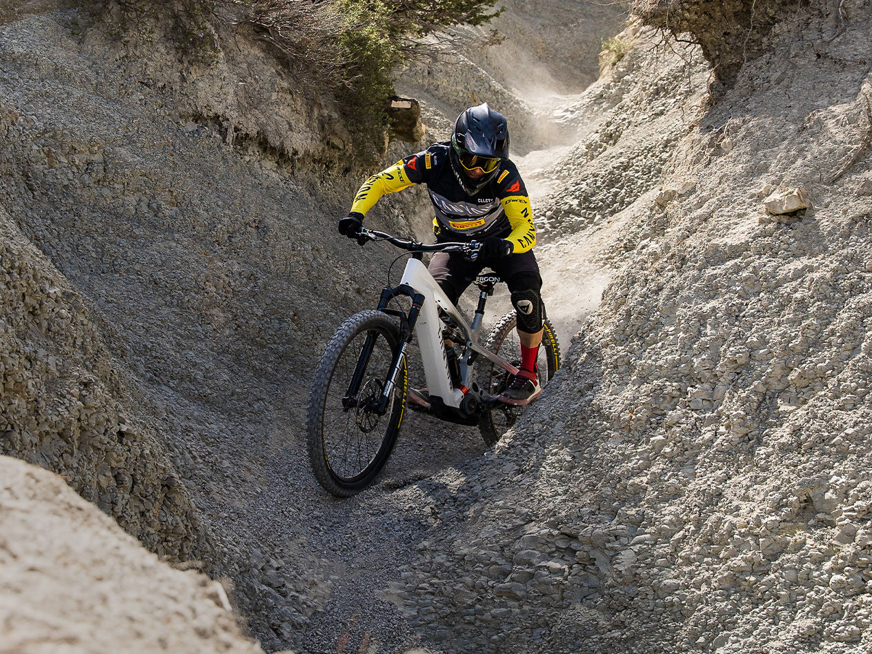 Fully electric discount mountain bike