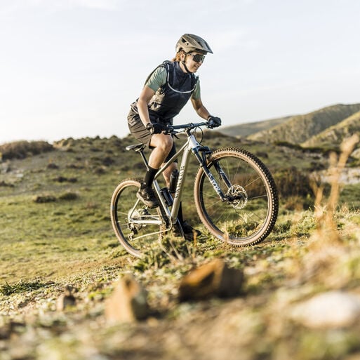 Beginner hardtail Beginner hardtail