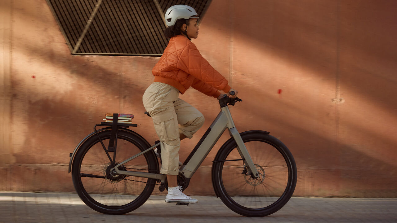 Stikke ud mikrofon krydstogt Electric Bike with Bosch motor | CANYON US