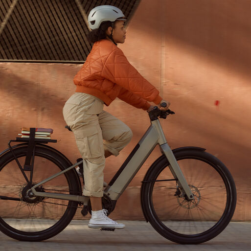 Bicicletta elettrica con motore Bosch