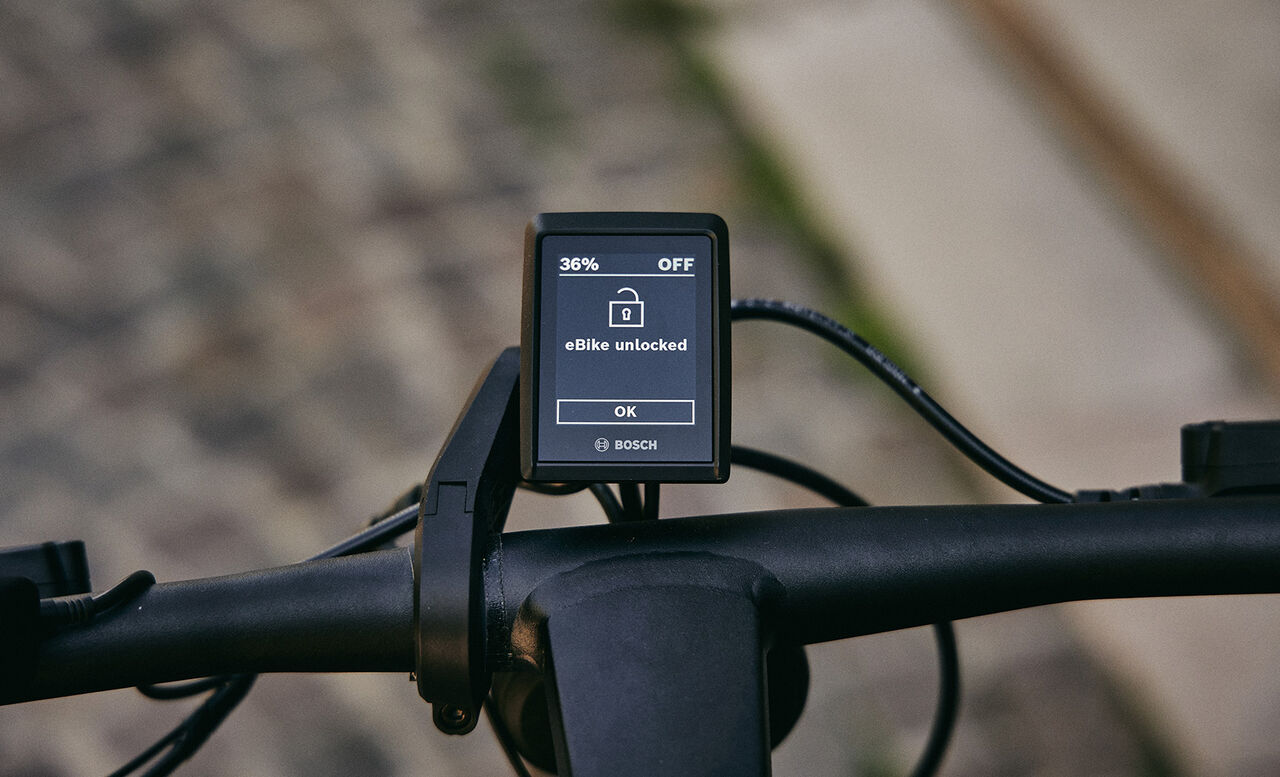 bosch ebike monitor
