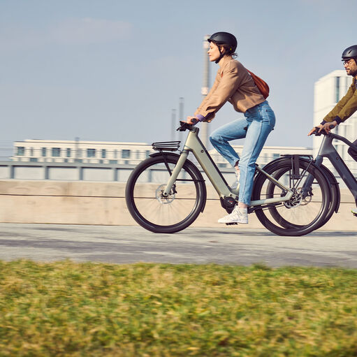 Electric Bike With With Hub Gear CANYON GB electric-bike-with-with-hub-gear-canyon-gb